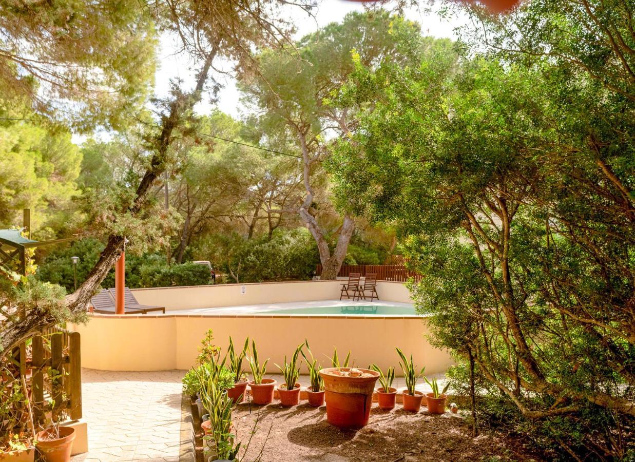 Apartamentos El Pino - Formentera Break Es Caló Exterior foto